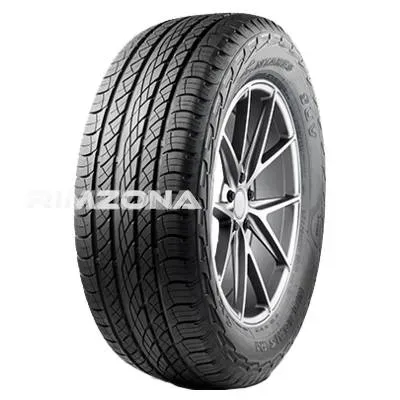 Шина ANTARES MAJORIS R1 275/45 R22 112V