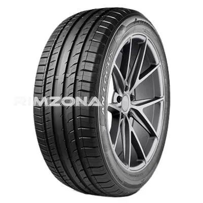 Шина ANTARES INGENS-LOCUS 275/40 R19 105W