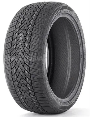 Шина FRONWAY ICEMASTER I 225/55 R16 95H